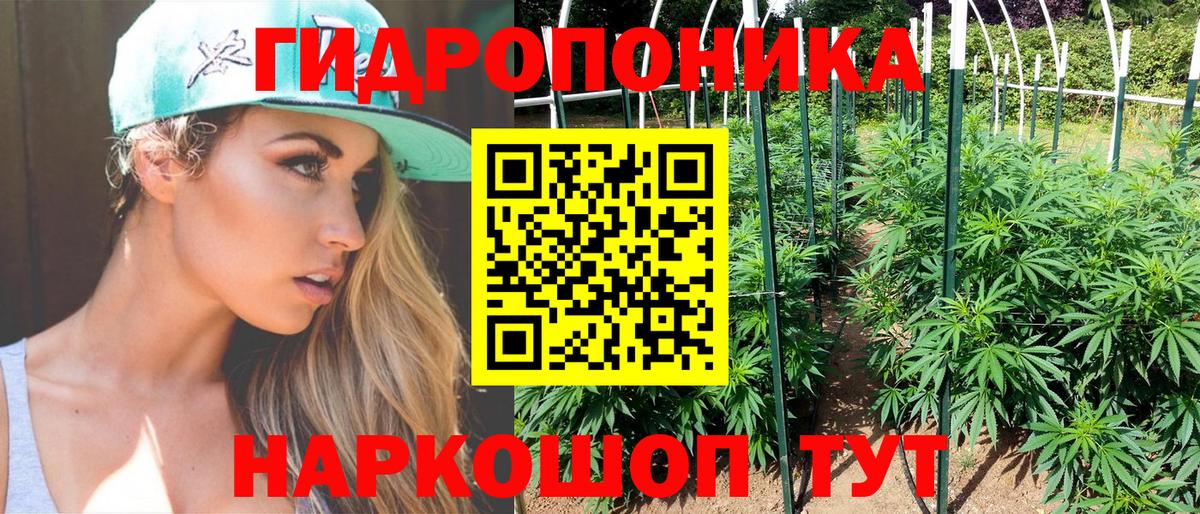Марихуана конопля Баксан